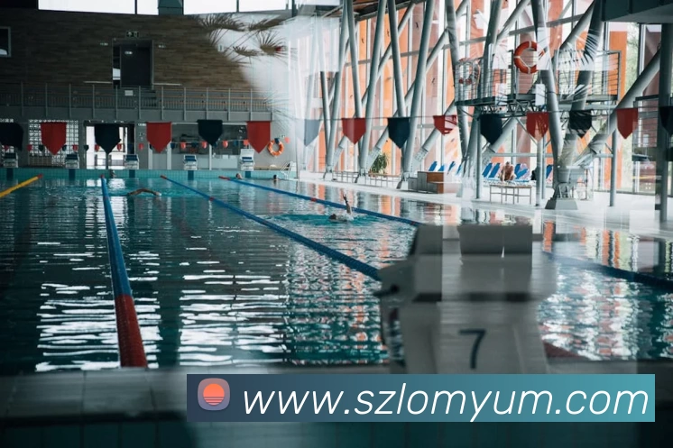 App Interface Preview